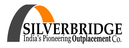 Silver Bridge Logo